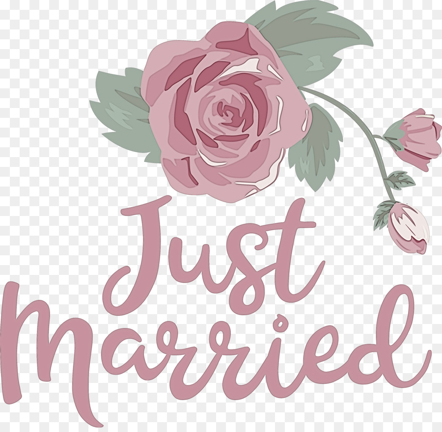 Tout Juste Marié，Mariage PNG