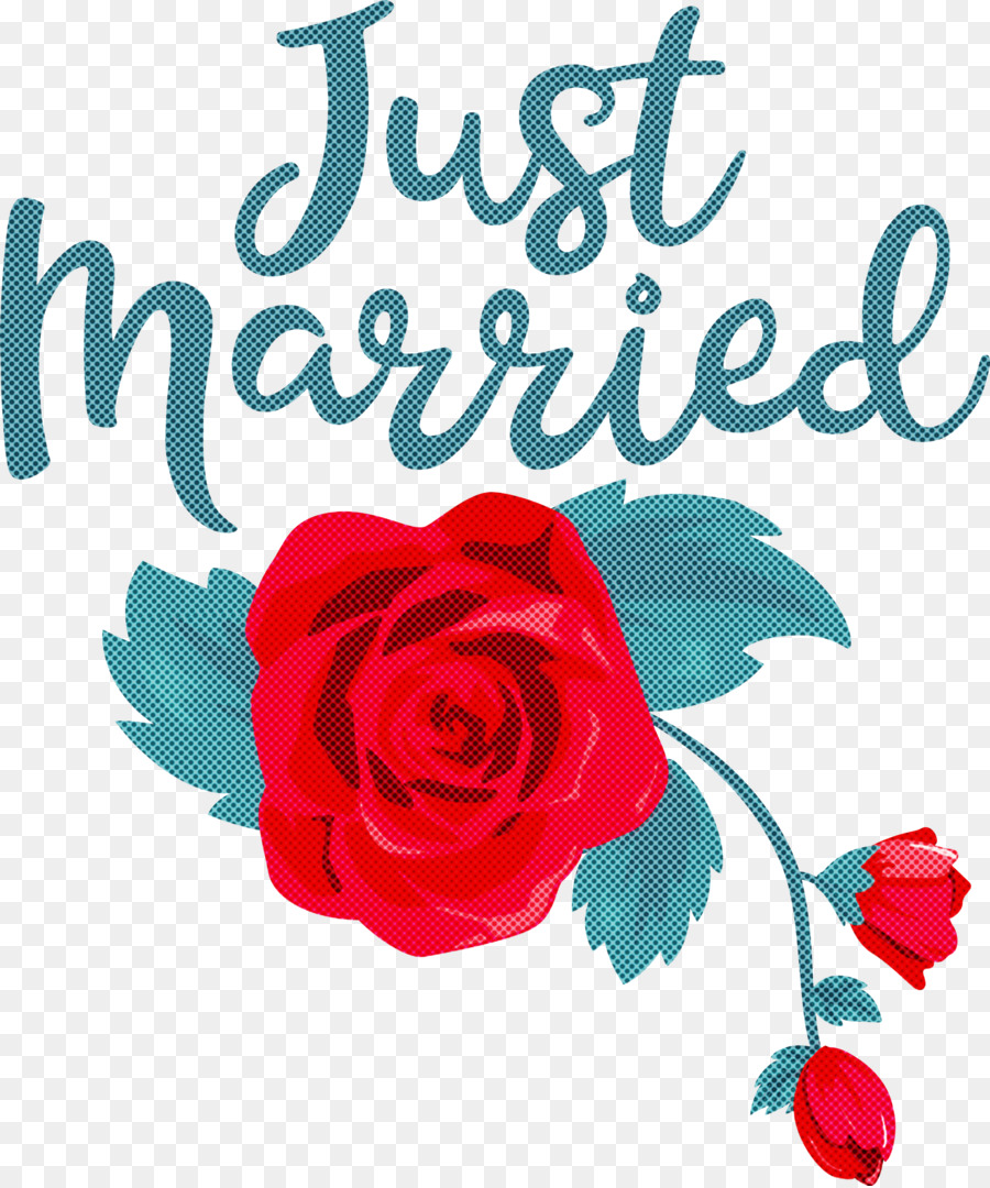 Tout Juste Marié，Mariage PNG