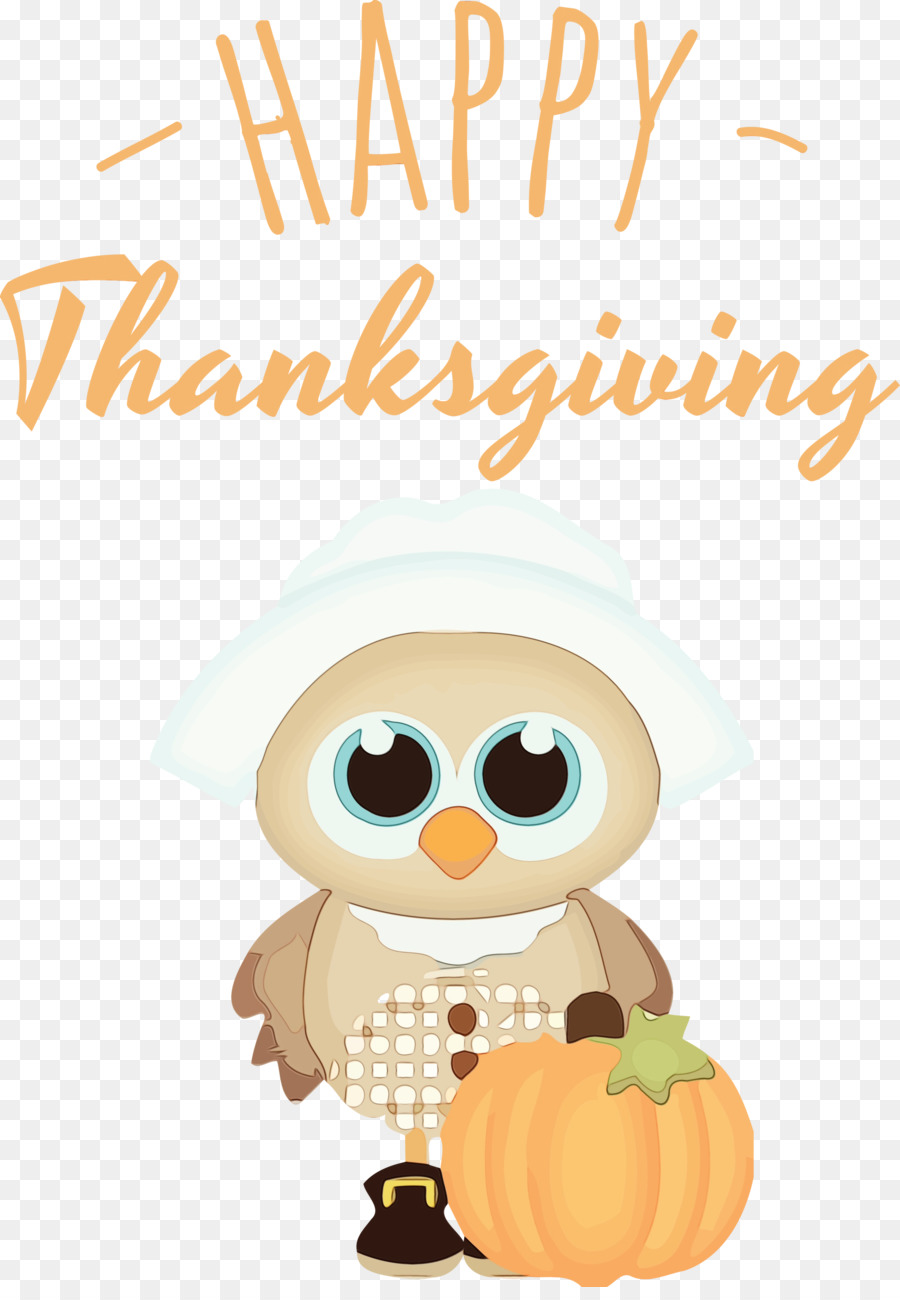 Chouette De Thanksgiving，Foulard PNG