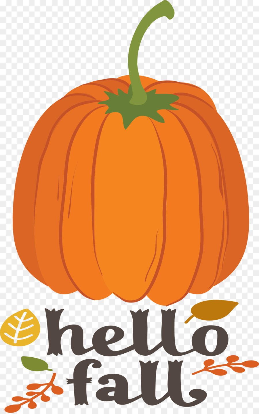 Citrouilles Blanches，Automne PNG