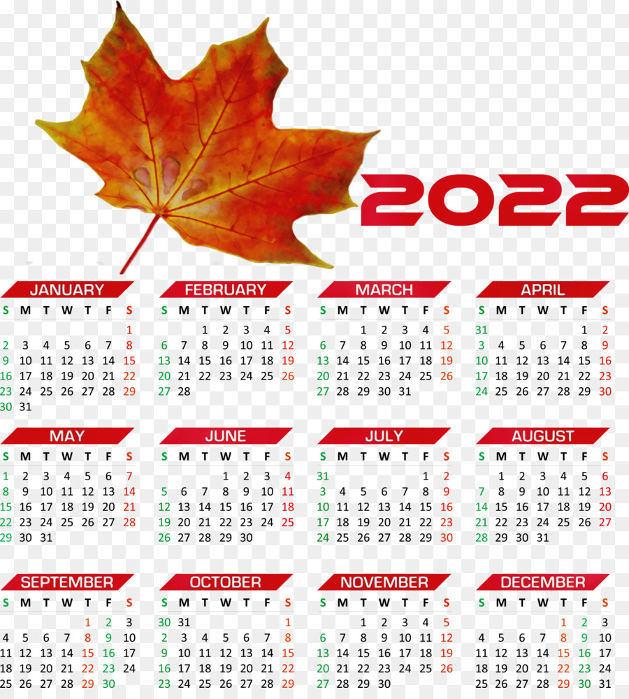 Système De Calendrier，Société PNG