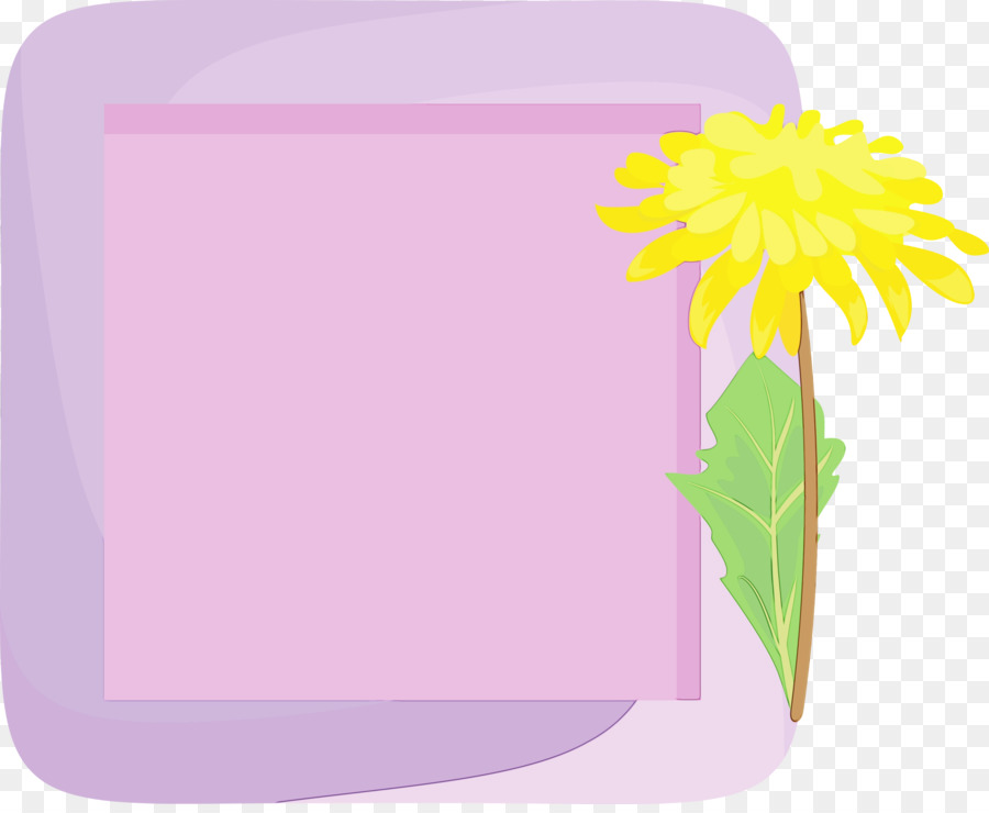 Cadre De Fleurs，Marguerite PNG