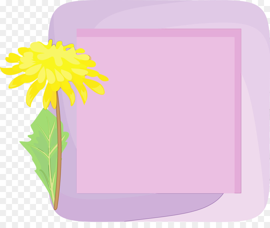 Cadre De Fleurs，Marguerite PNG