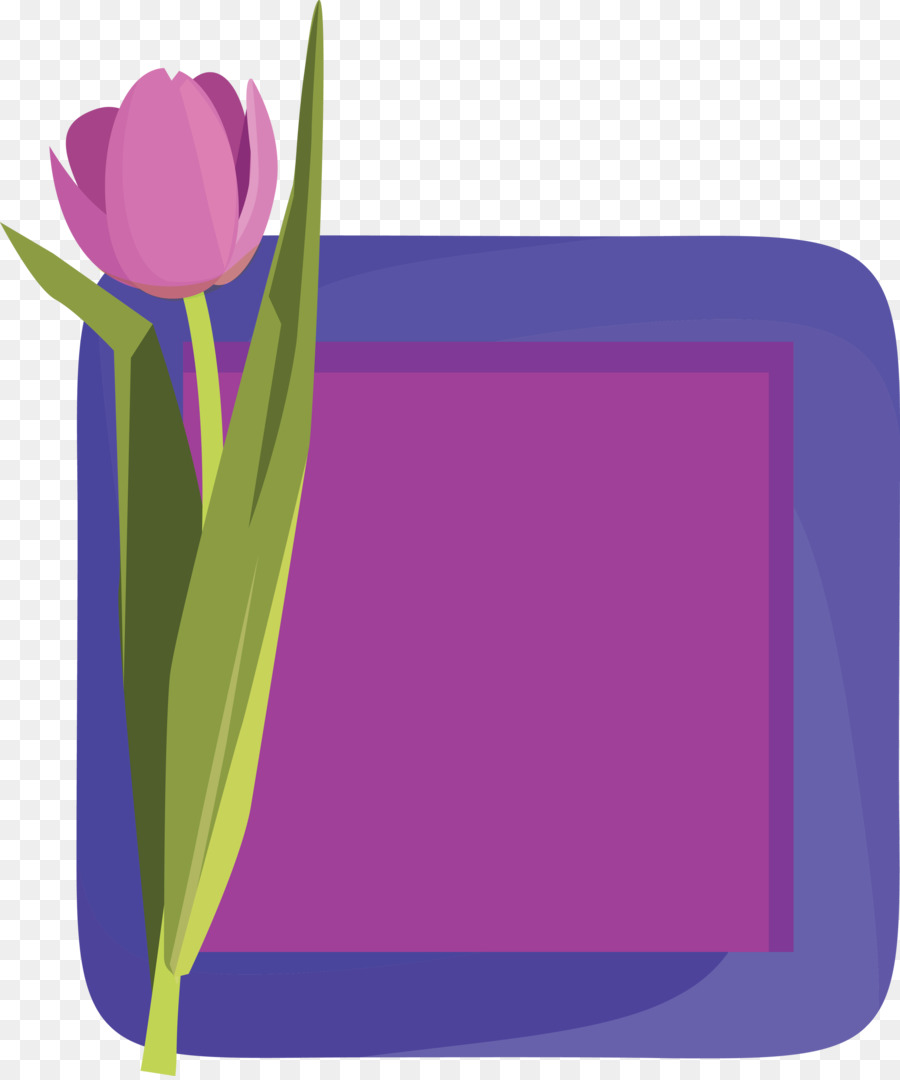 Fleur，Violet PNG