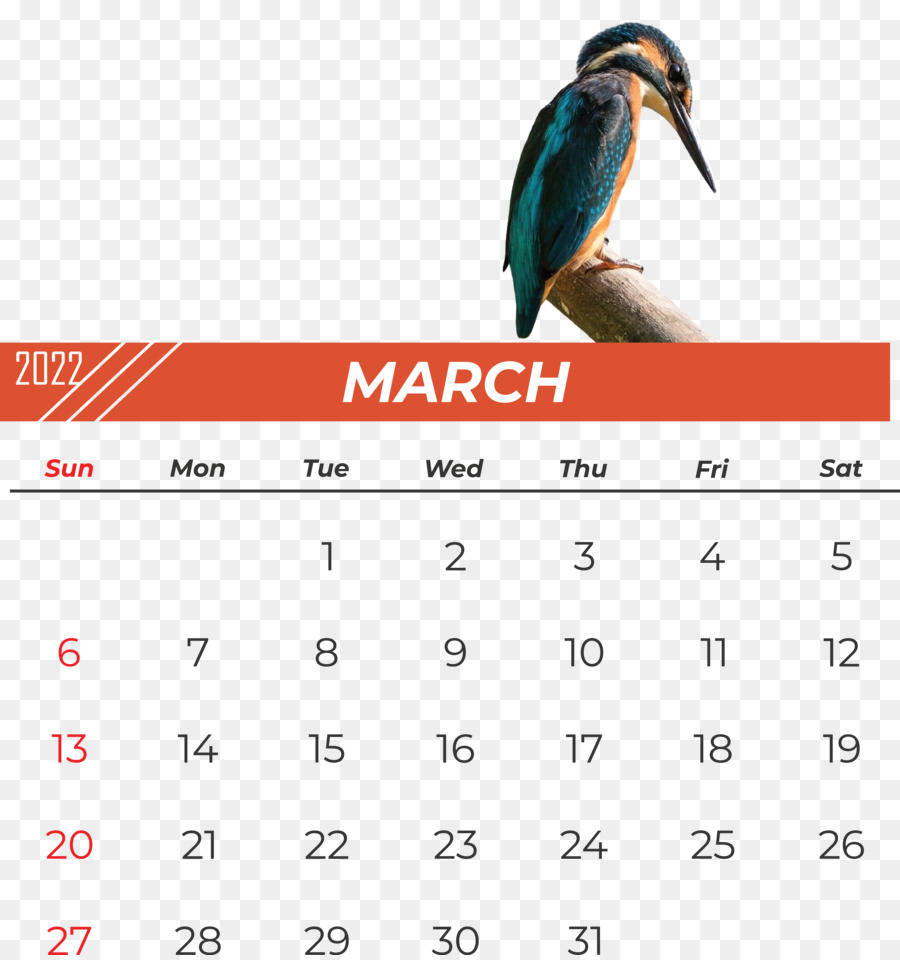 Les Oiseaux，Calendrier PNG