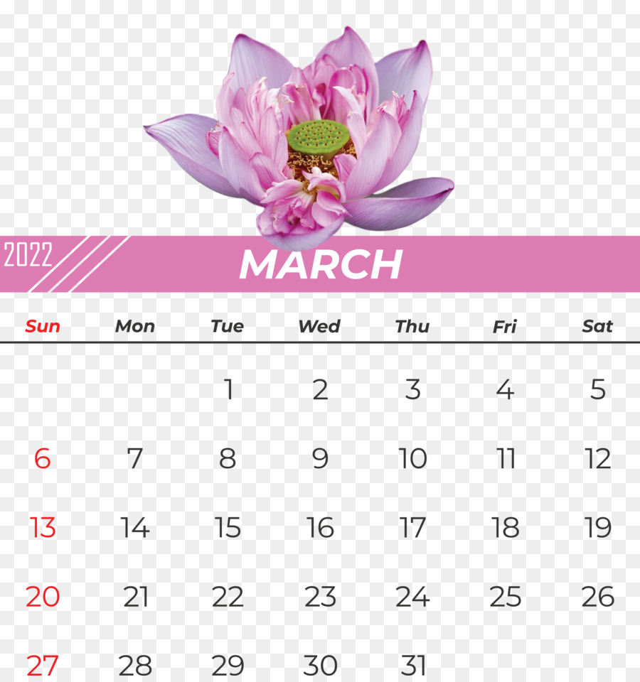 Fleur，Calendrier PNG