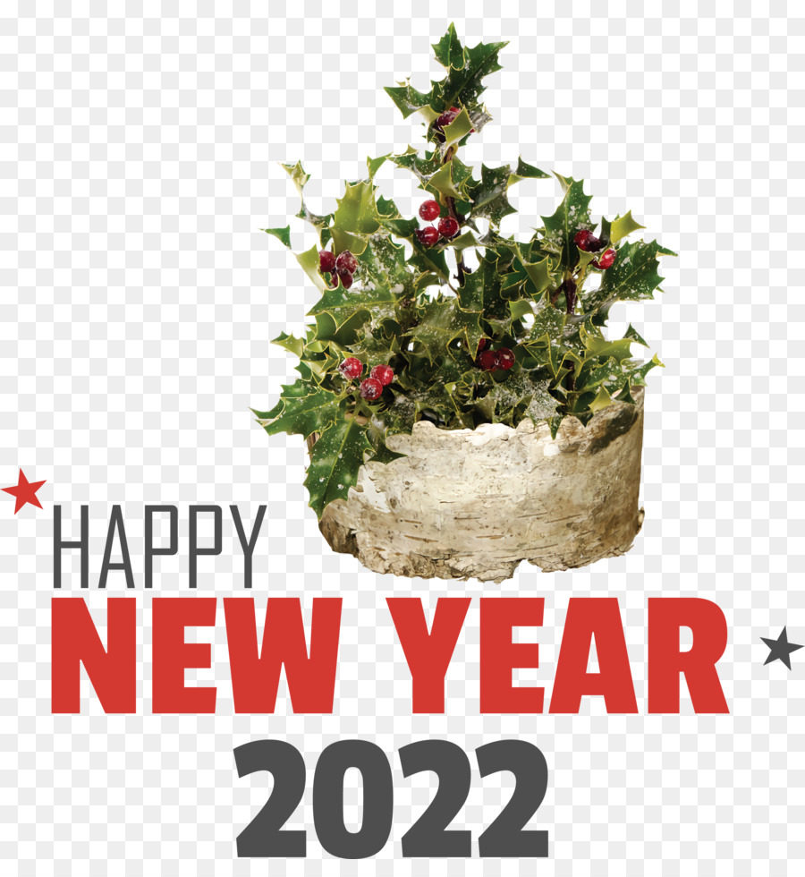 Bonne Année 2022，Nouvelle Année PNG