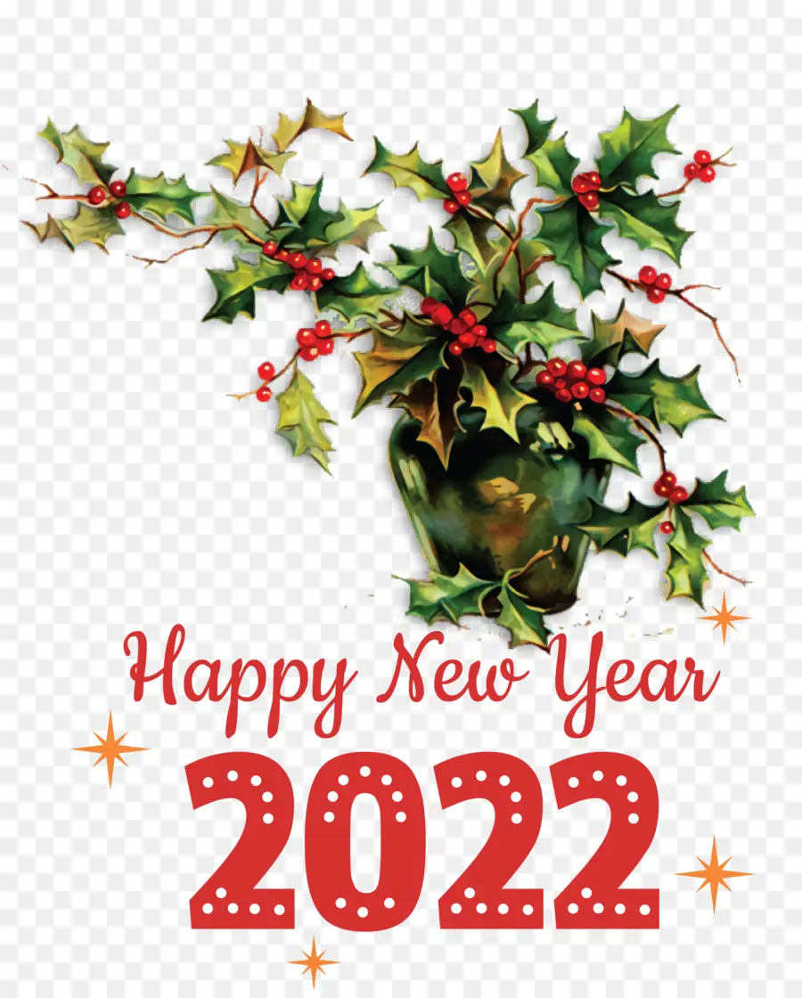 Bonne Année 2022，Célébration PNG