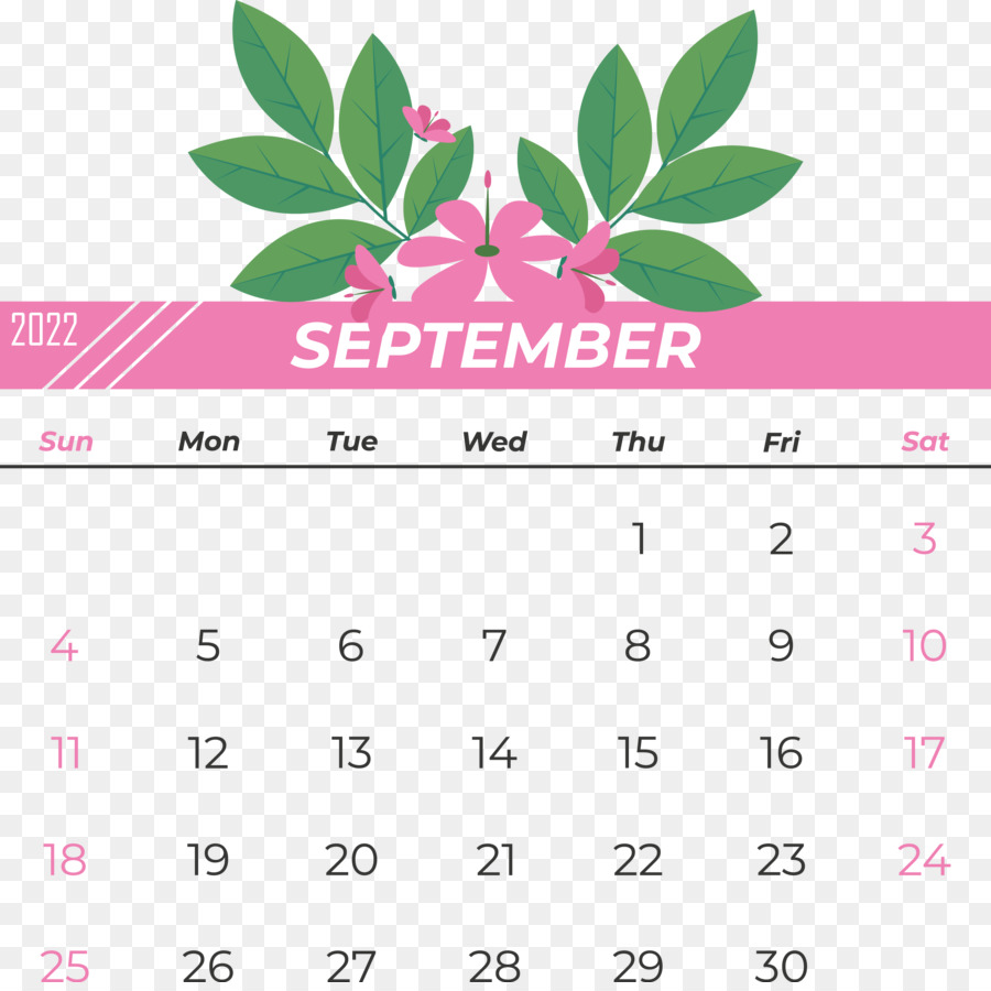 Calendrier，Date PNG