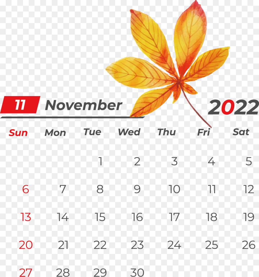 Calendrier De Novembre，Dates PNG