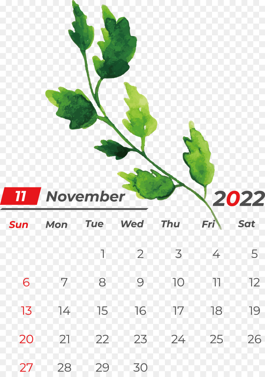 Calendrier De Novembre，Dates PNG