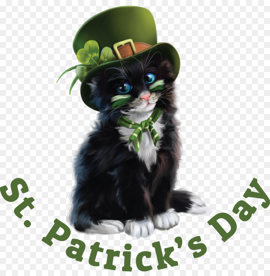 St Patricks Day，Chat PNG