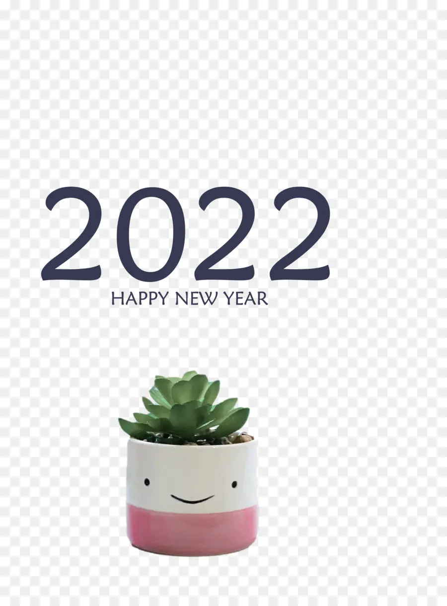 Plante Succulente，Pot PNG