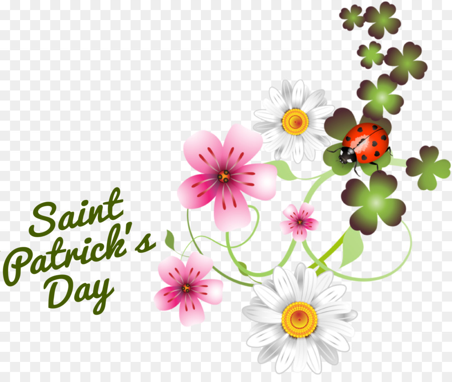 Fête De La Saint Patrick，Fleurs PNG