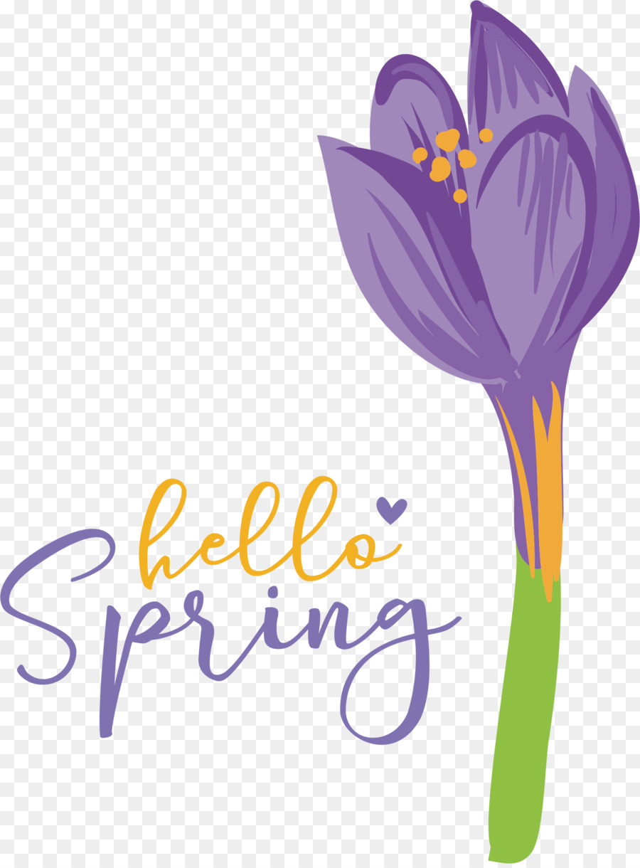 Fleur，Crocus PNG