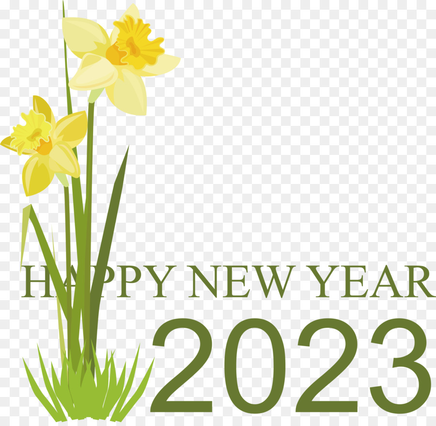 Bonne Année 2023，Nouvelle Année PNG