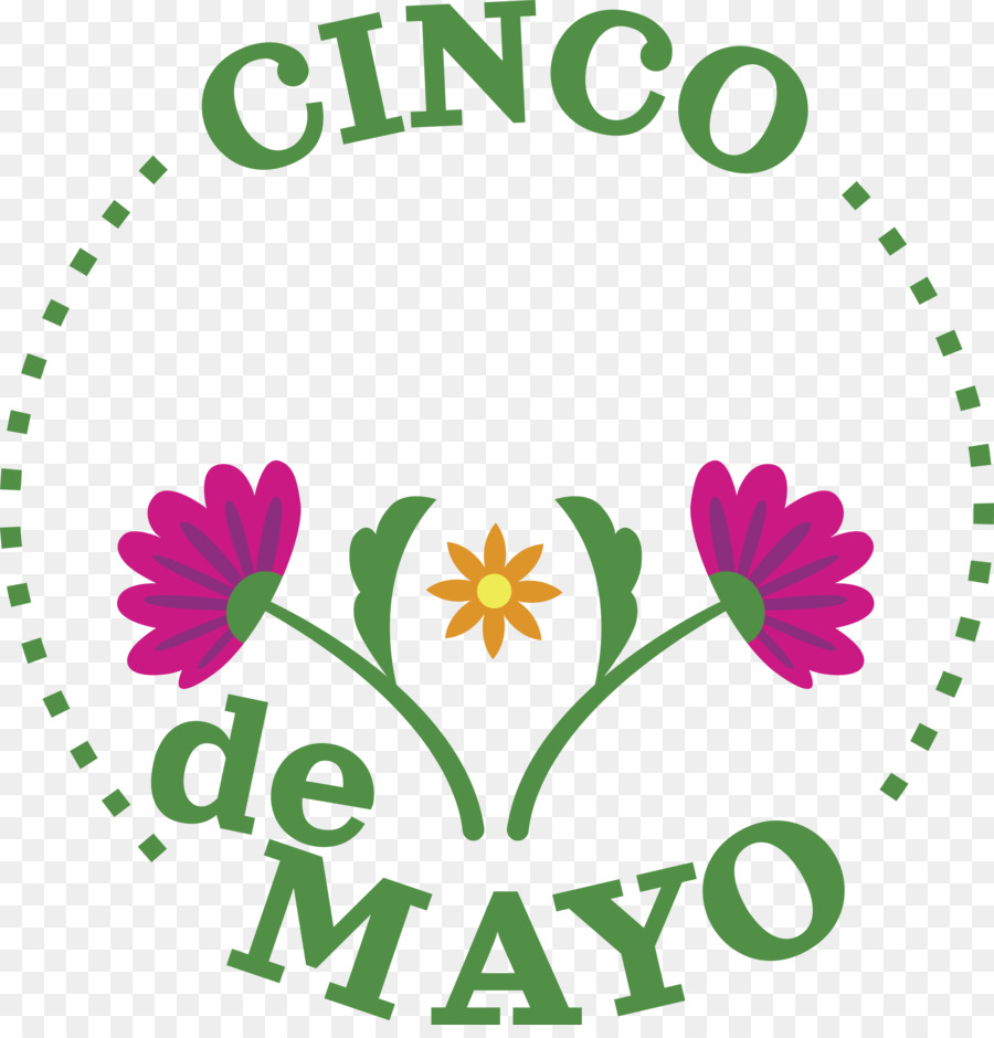 Cinco De Mayo，Fleurs PNG