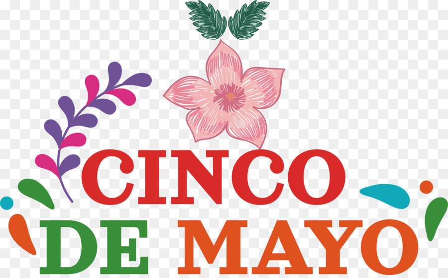 Cinco De Mayo，Célébration PNG