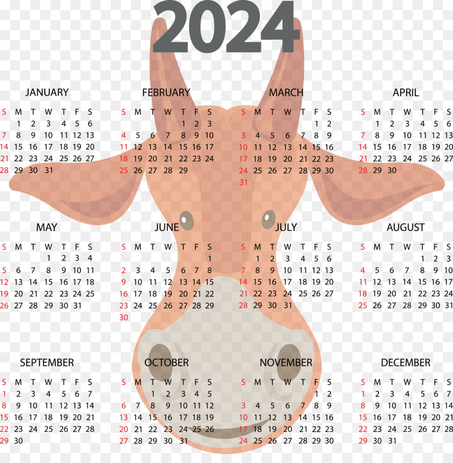 Calendrier 2024 Avec Vache，Vache PNG