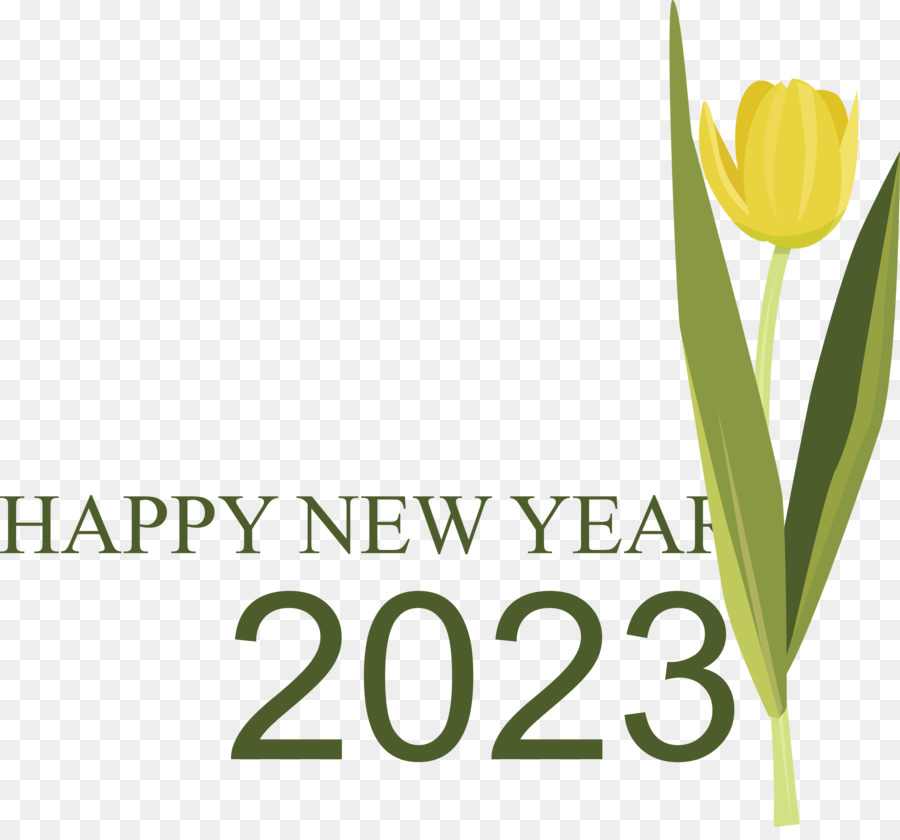 Bonne Année 2023，Célébration PNG