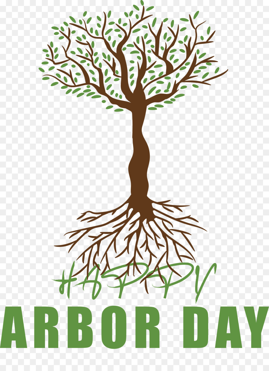 Arbre，Racines PNG