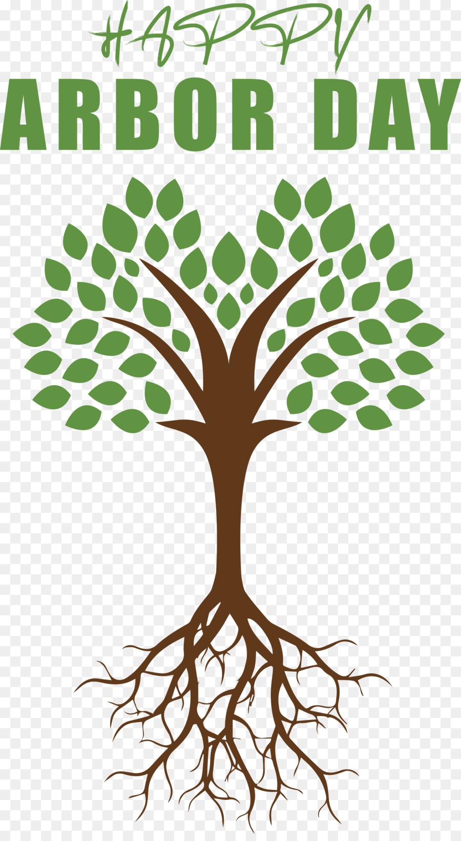 Arbre，Racines PNG