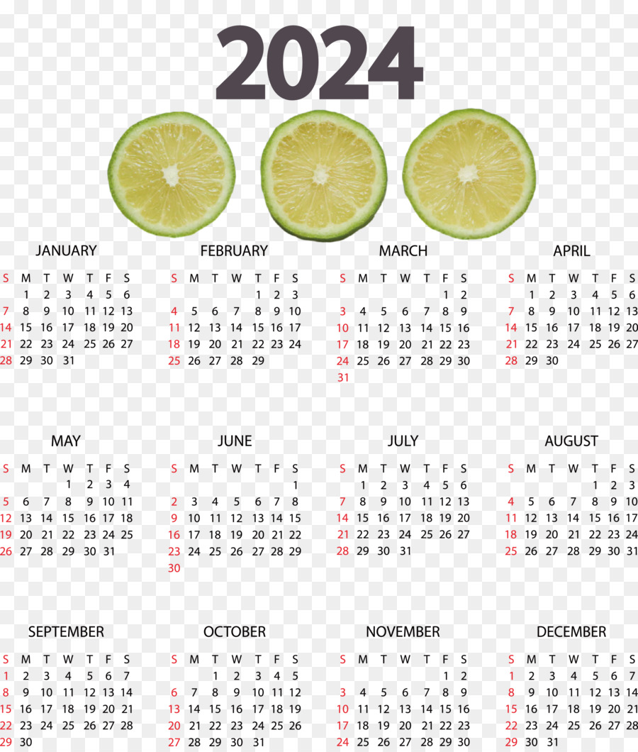 Tranches De Citron Vert，Calendrier PNG