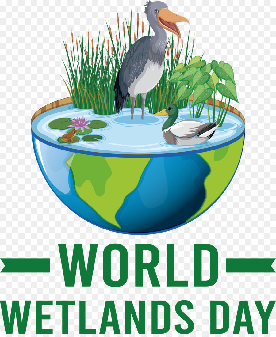 Journée Mondiale Des Zones Humides， PNG