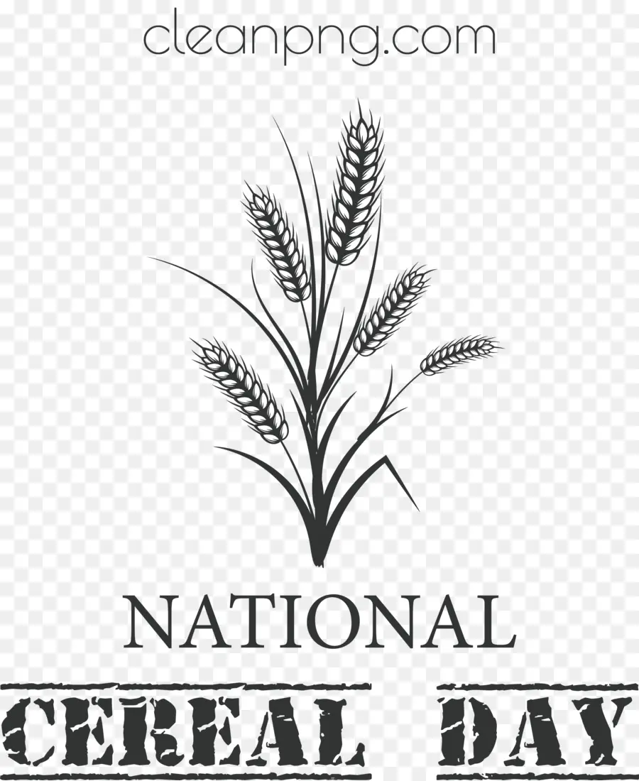 Nationale Des Céréales Jour，Jour De Céréales PNG