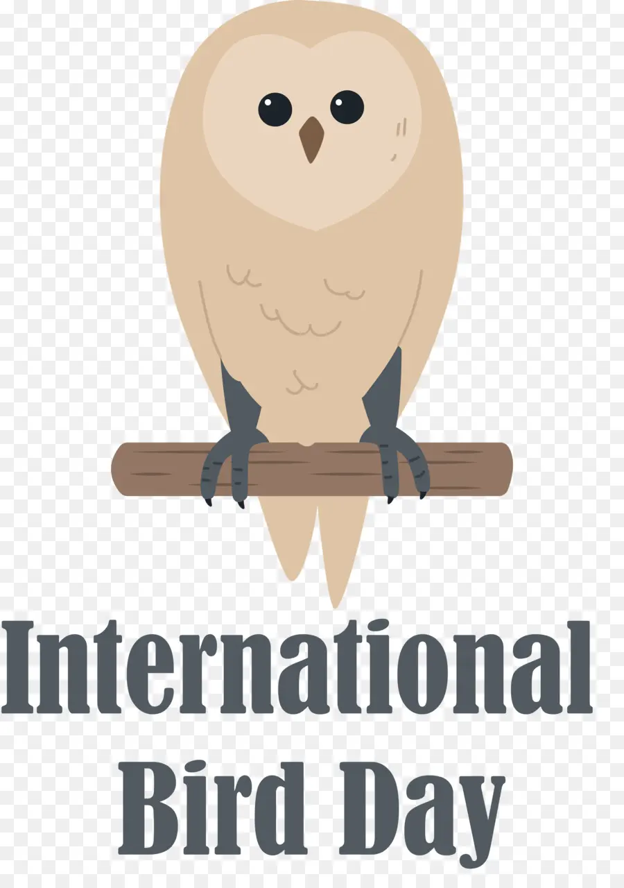 Journée Internationale Des Oiseaux，Hibou PNG