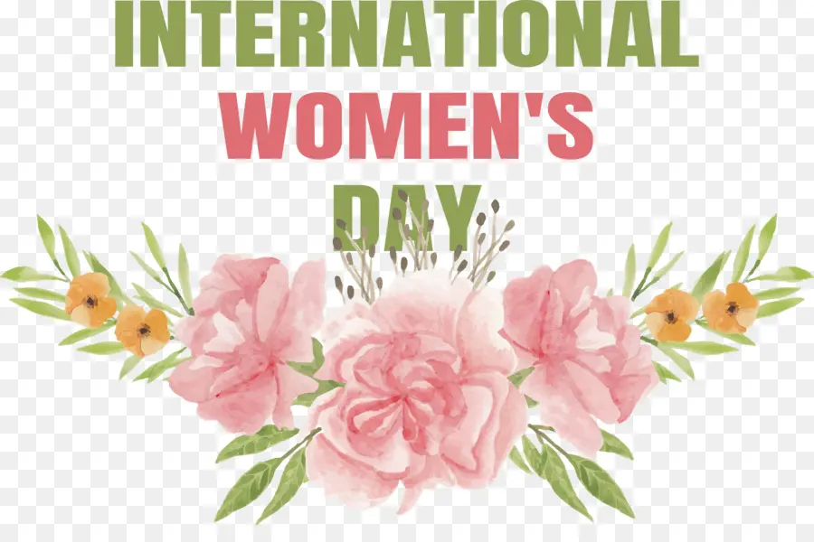 International Womens Jour，Womens Jour PNG