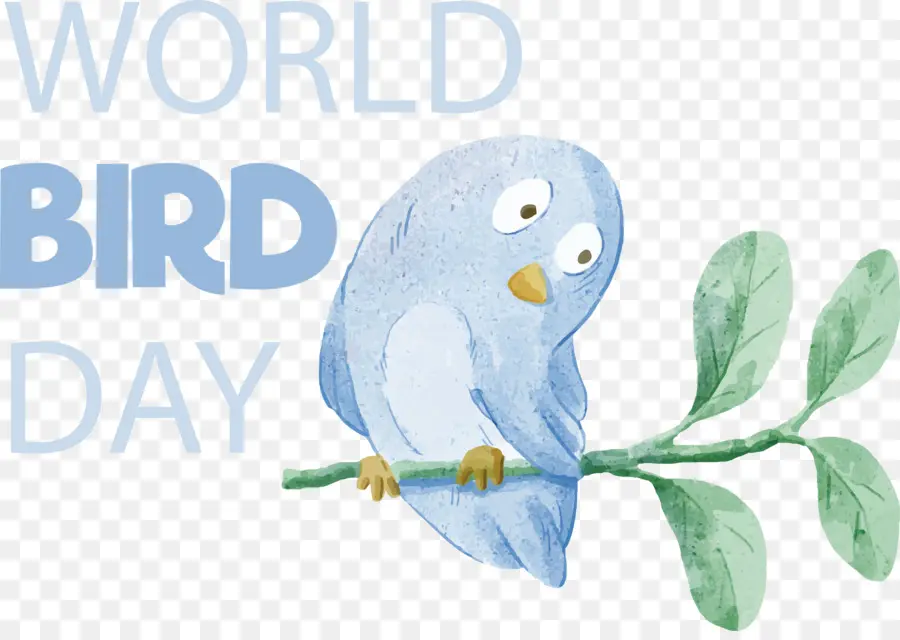 Oiseau Jour，Journée Internationale Des Oiseaux PNG