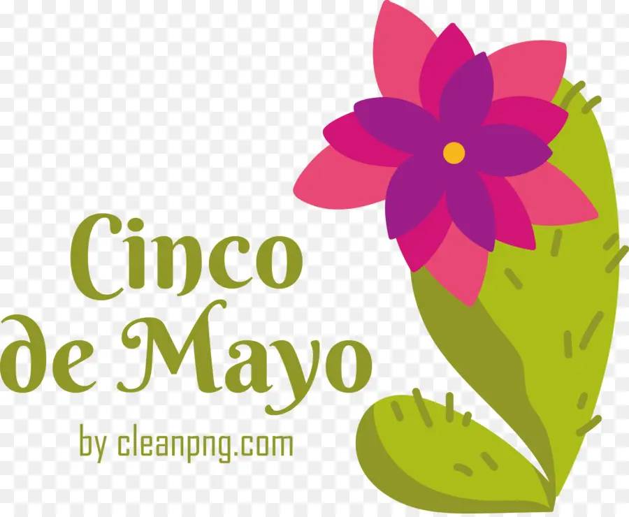 Cinco De Mayo，Fleur PNG