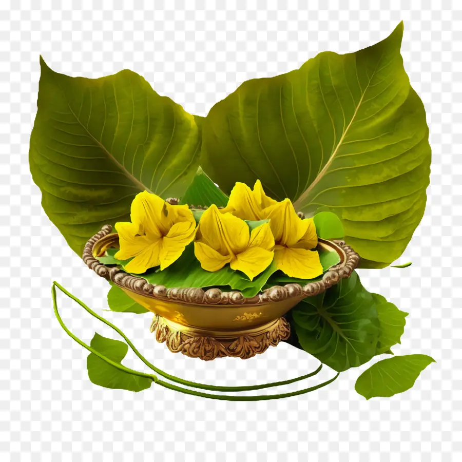 Vishu，Nouvel An Malayali PNG