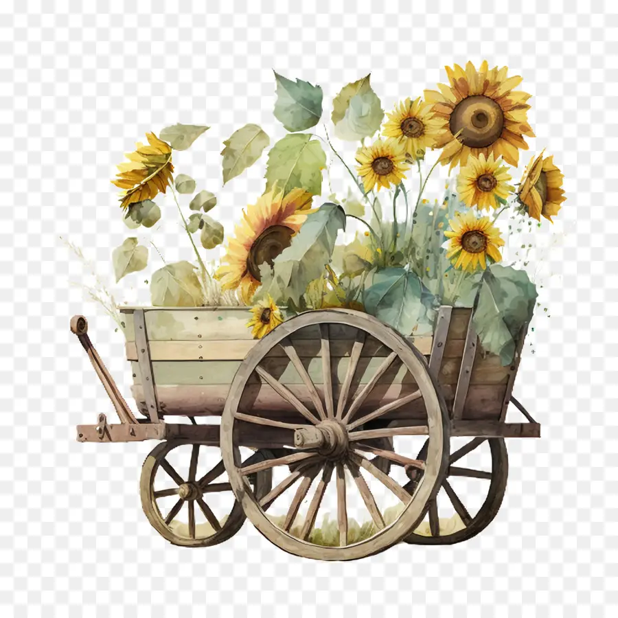 Tournesol Aquarelle，Chariot De Jardin PNG