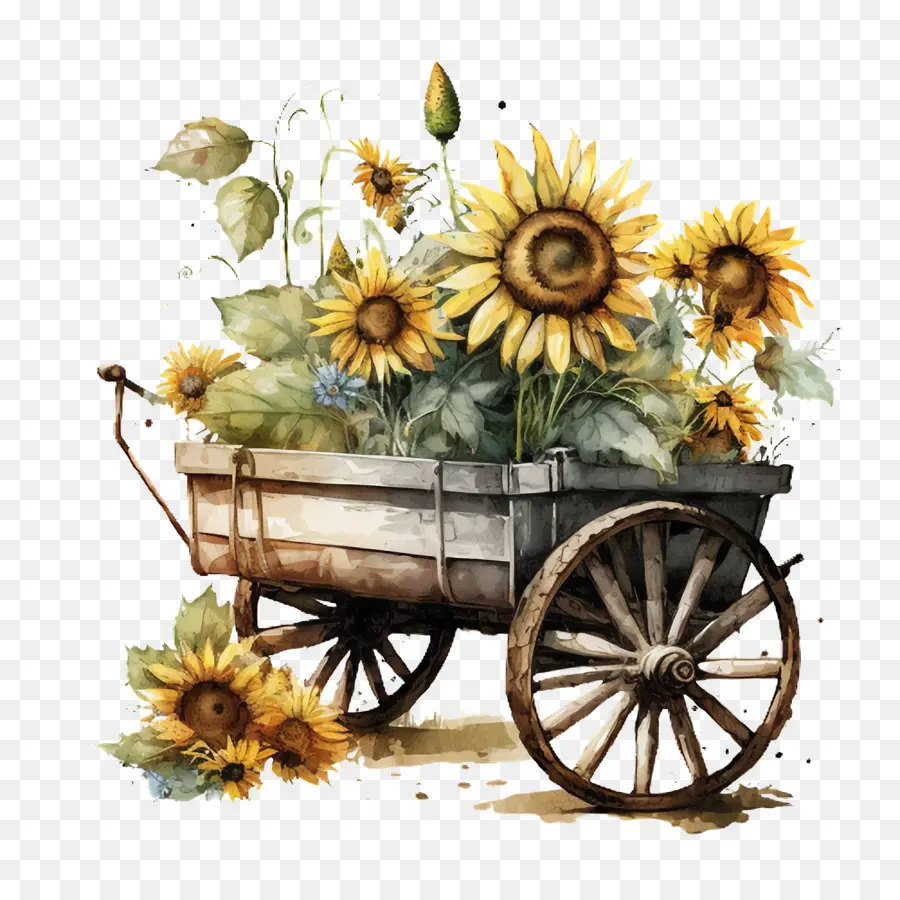 Aquarelle De Tournesol，Jardin Panier PNG