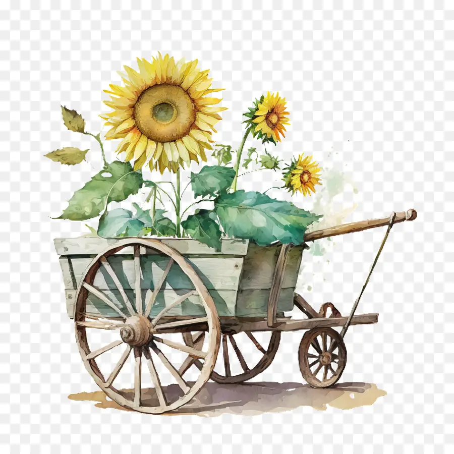 Aquarelle De Tournesol，Jardin Panier PNG