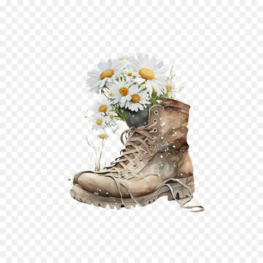 Aquarelle Daisy，Daisy En Botte PNG