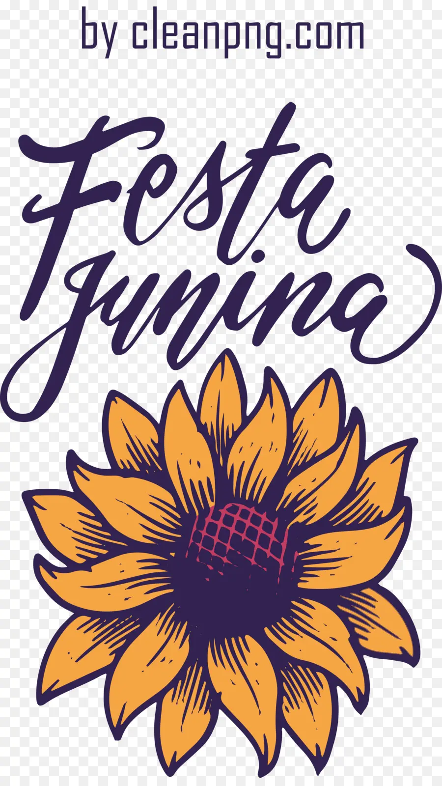 Fête Junina，Tournesol Festa Junina PNG