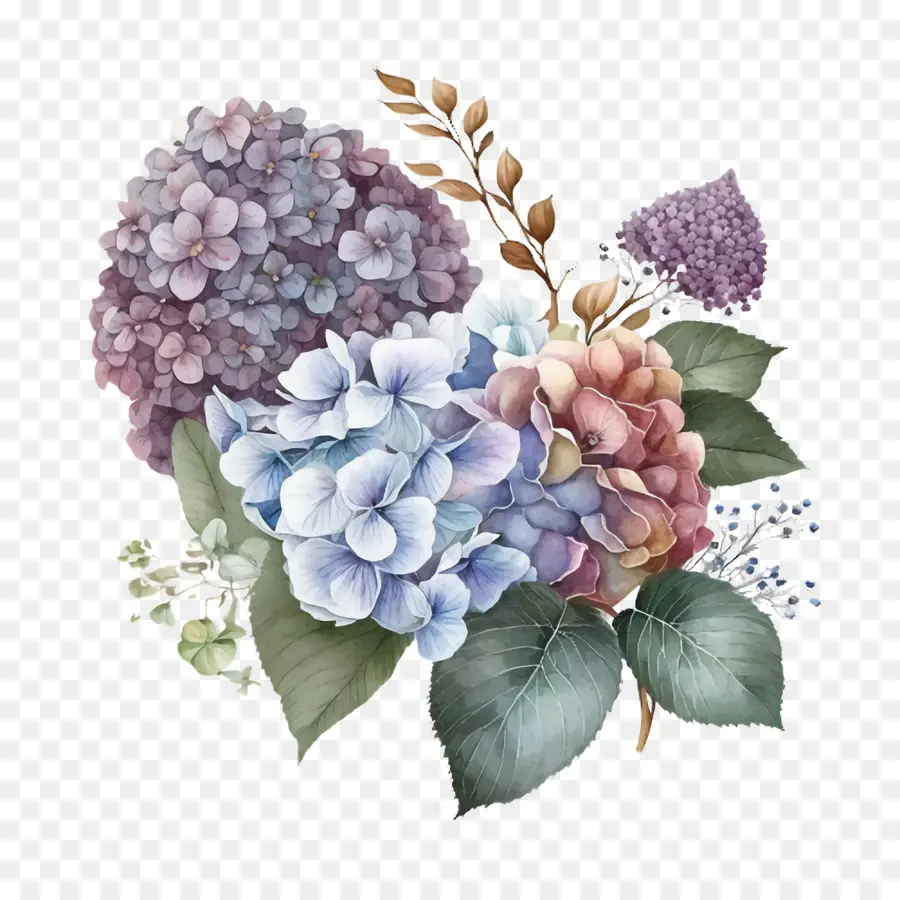 Hortensias Aquarelles，Arrangement D'hortensias PNG