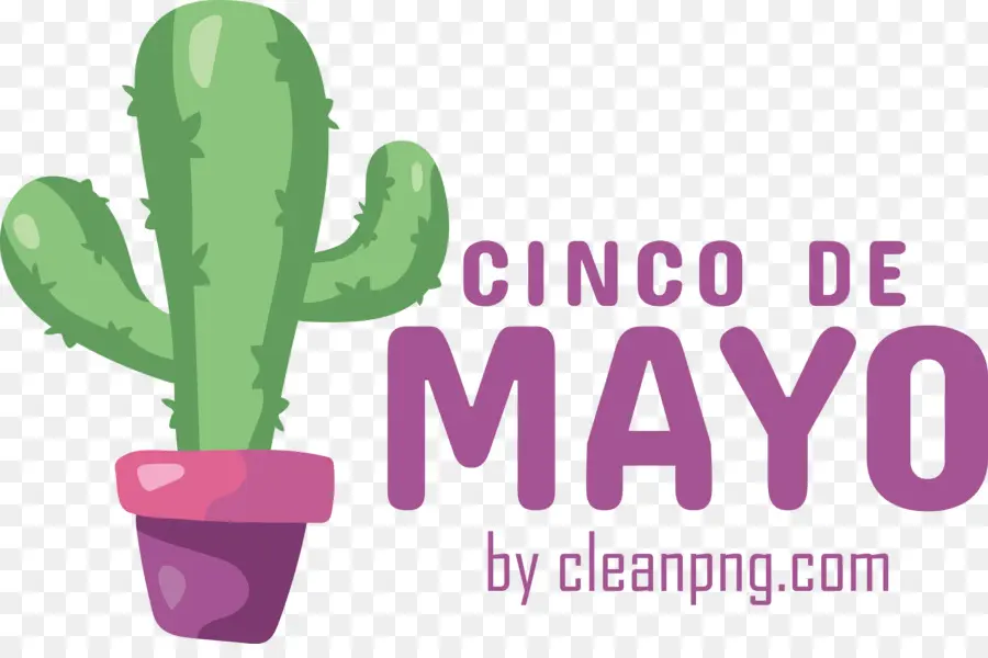 Cinco De Mayo，Cinquième Du Mois De Mai PNG