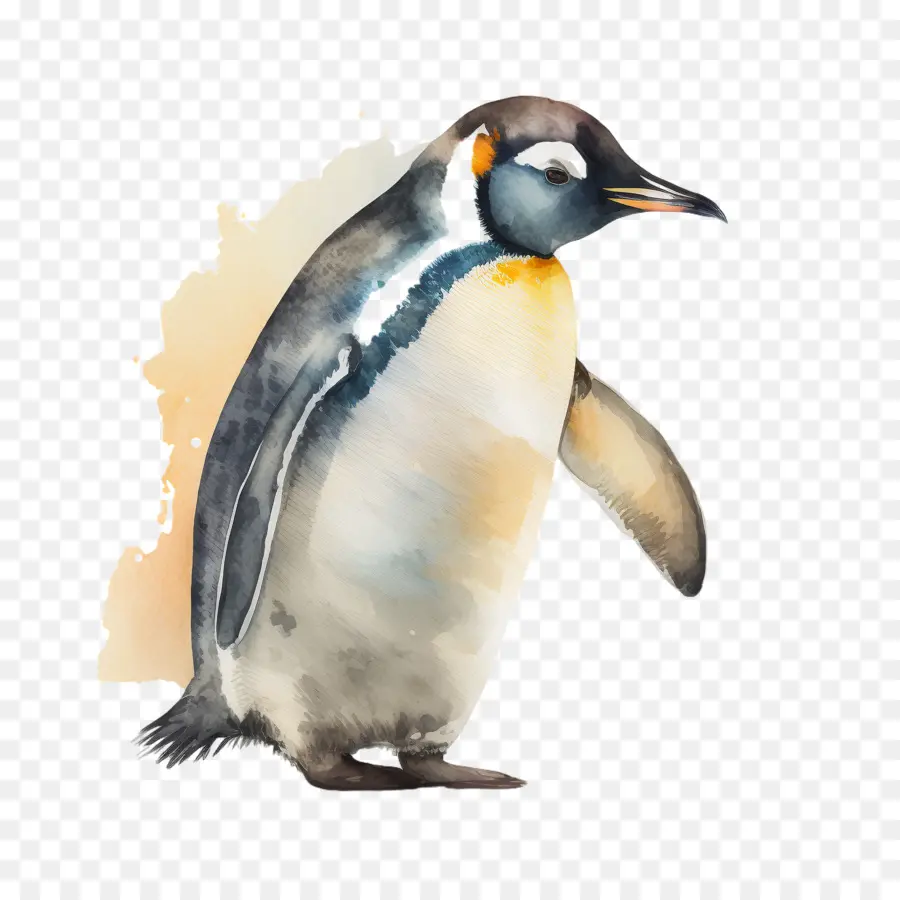 Monde Pingouin Jour，Aquarelle Pingouin PNG