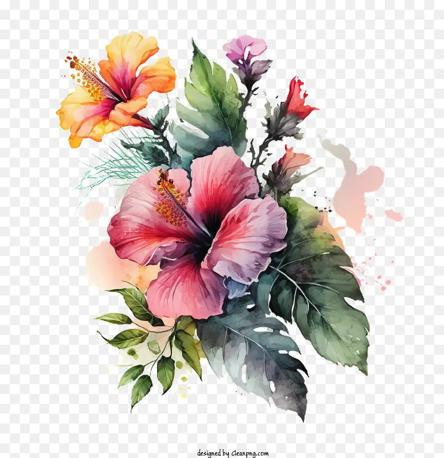 Hibiscus Peint à La Main，Aquarelle Hibiscus PNG