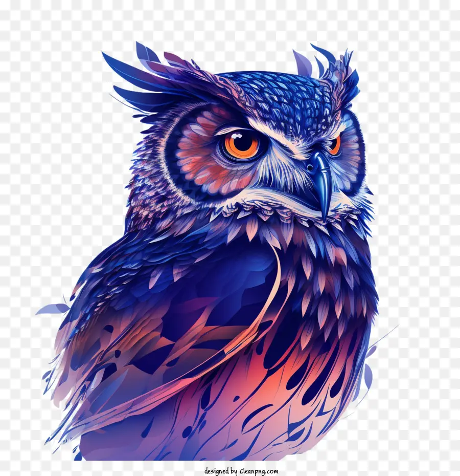 Portrait De Chouette，Hibou PNG