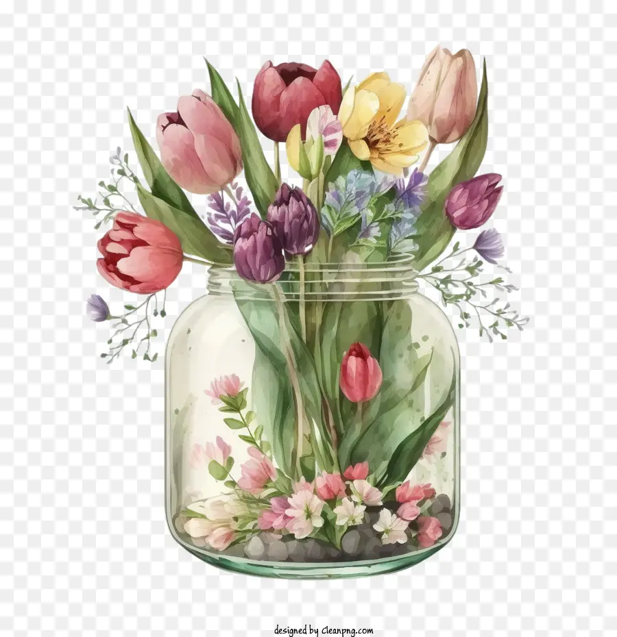 Aquarelle Tulip，Tulipe Mignonne PNG