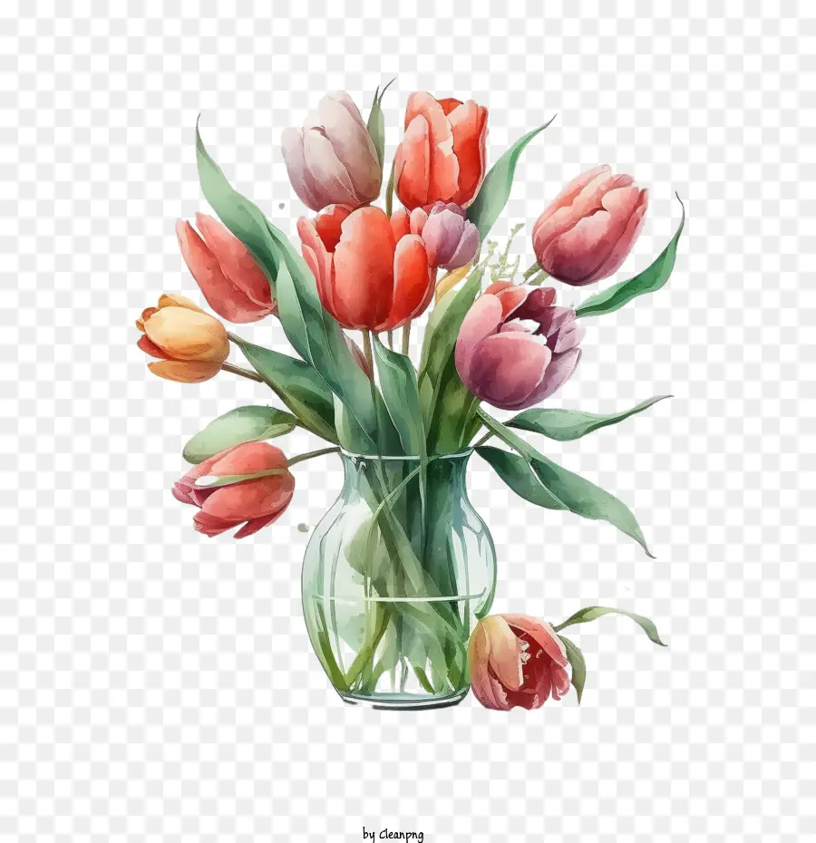 Aquarelle Tulipes，Fleurs De Tulipes PNG