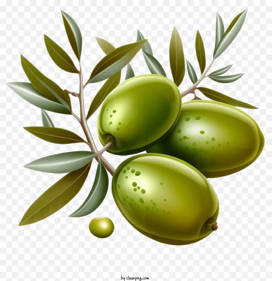 Olives 3d，Olives Réalistes PNG