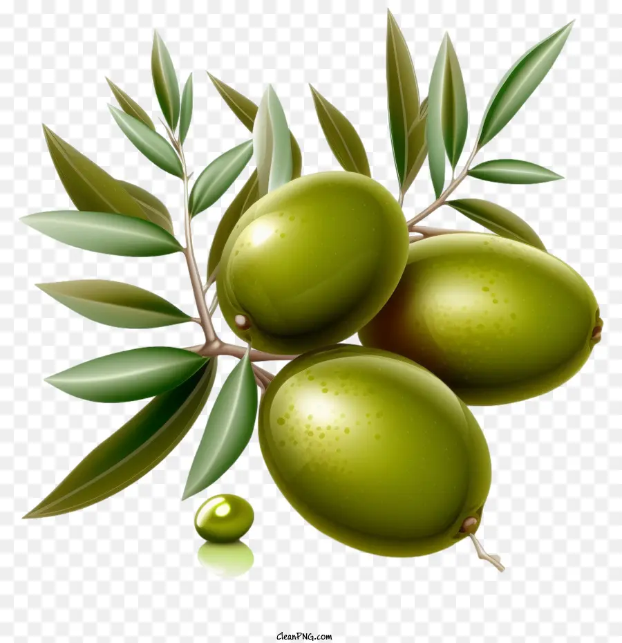 Olives 3d，Olives Réalistes PNG
