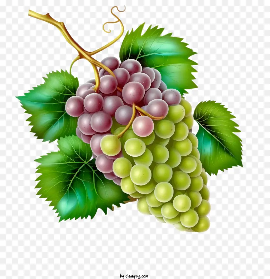 Grapes 3d，Raisins Réalistes PNG