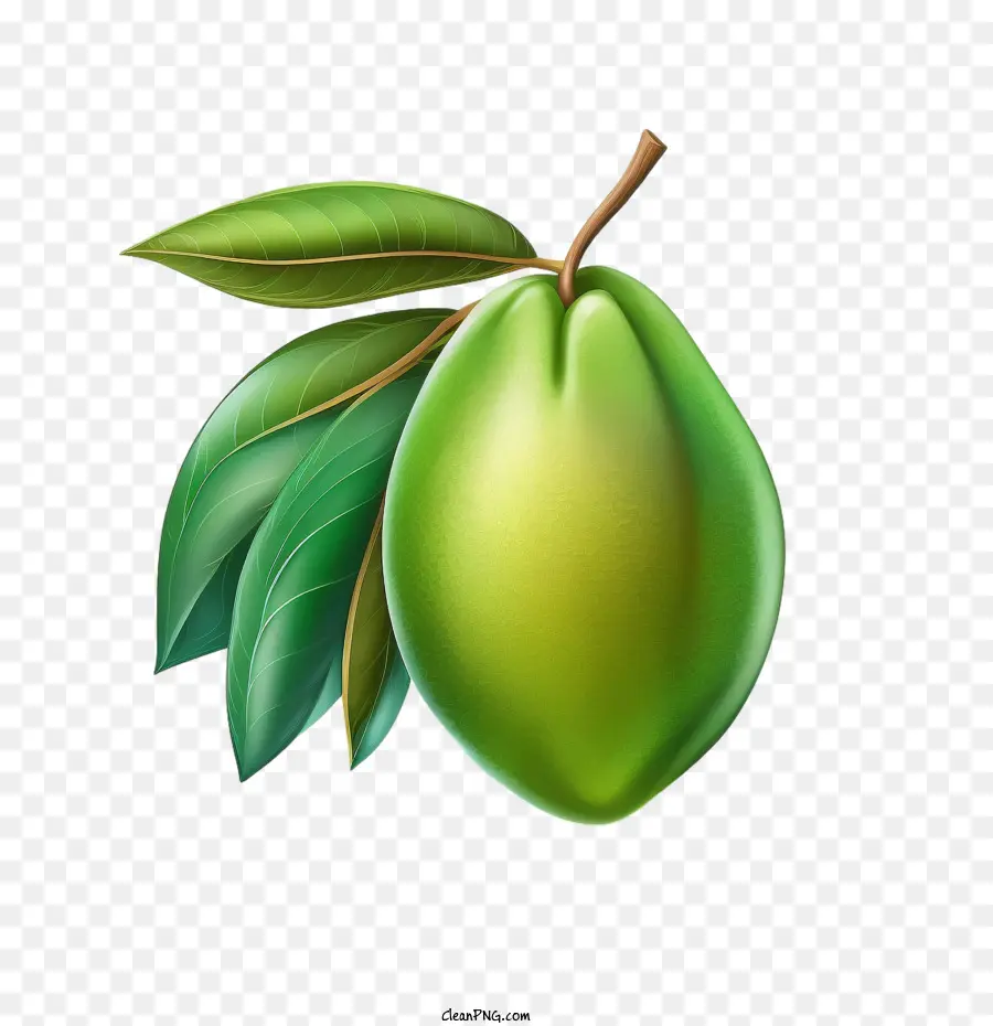 Dessin Animé De Mangue，La Mangue Verte PNG
